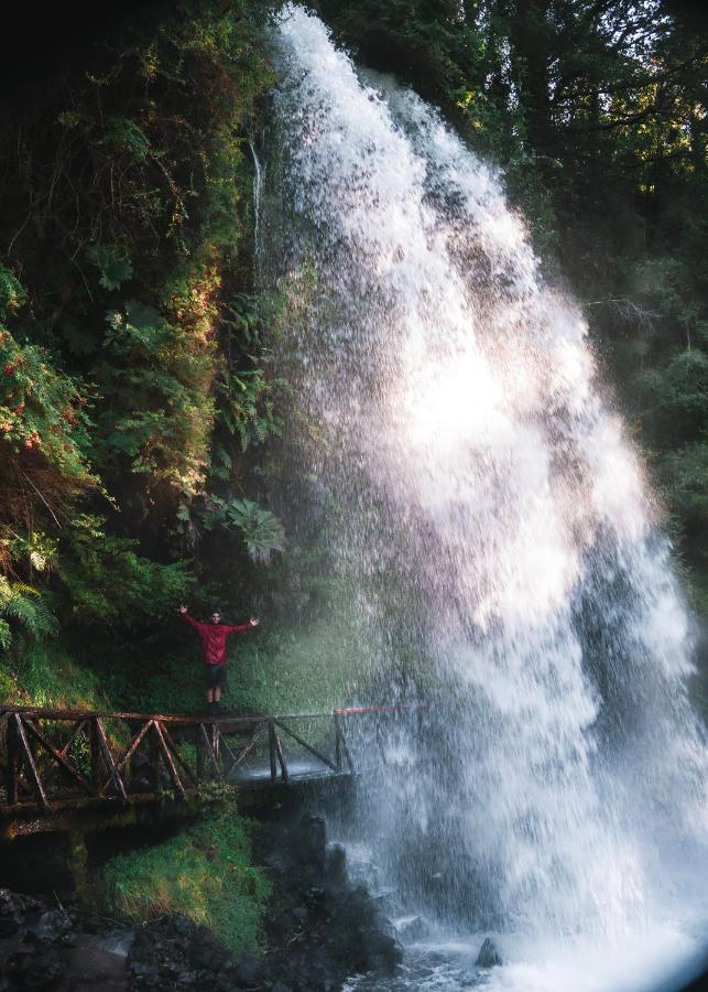 Treca Rupan Lodge Neltume Exteriér fotografie